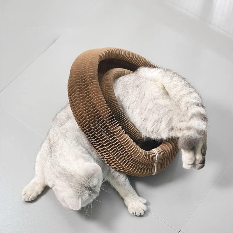 PawJoy Interactive Scratcher™