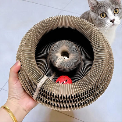 PawJoy Interactive Scratcher™