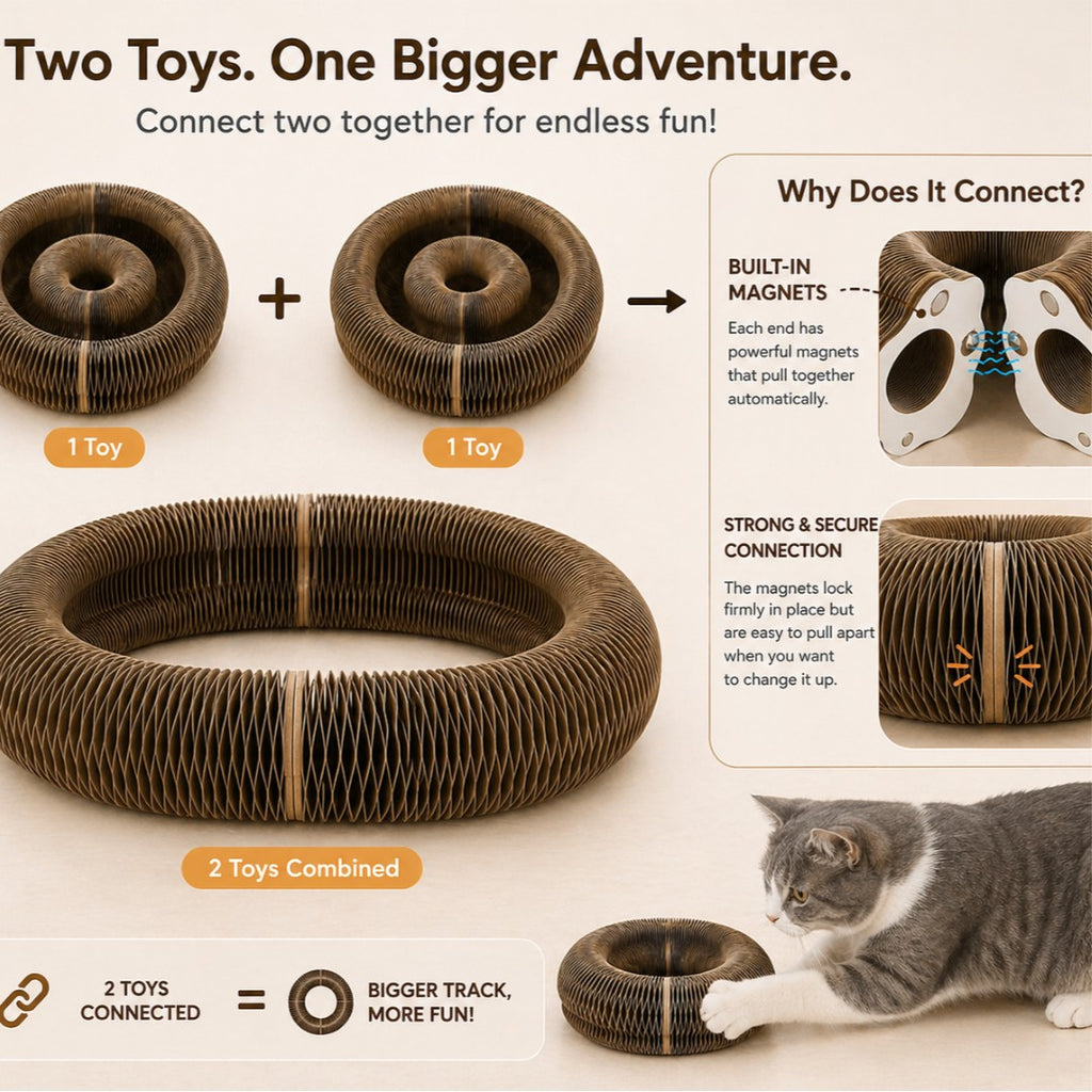 PawJoy Interactive Scratcher™
