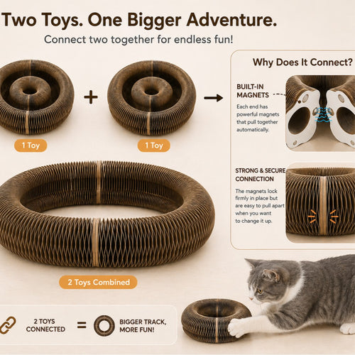 PawJoy Interactive Scratcher™